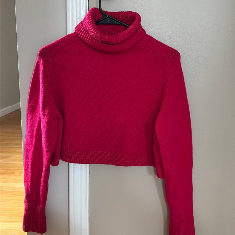 Zara cropped sweater